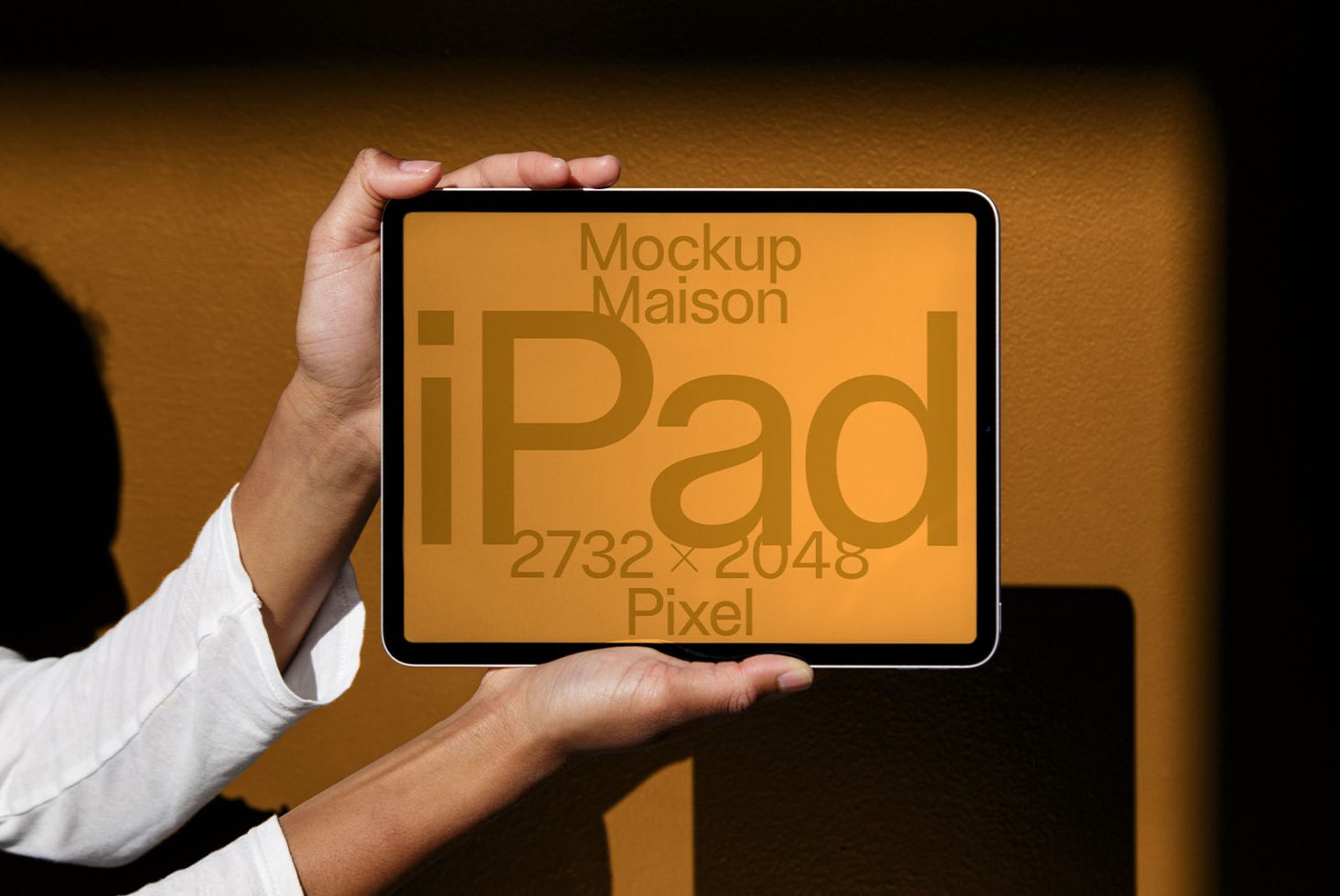 iPad DD E18 Mockup preview 1