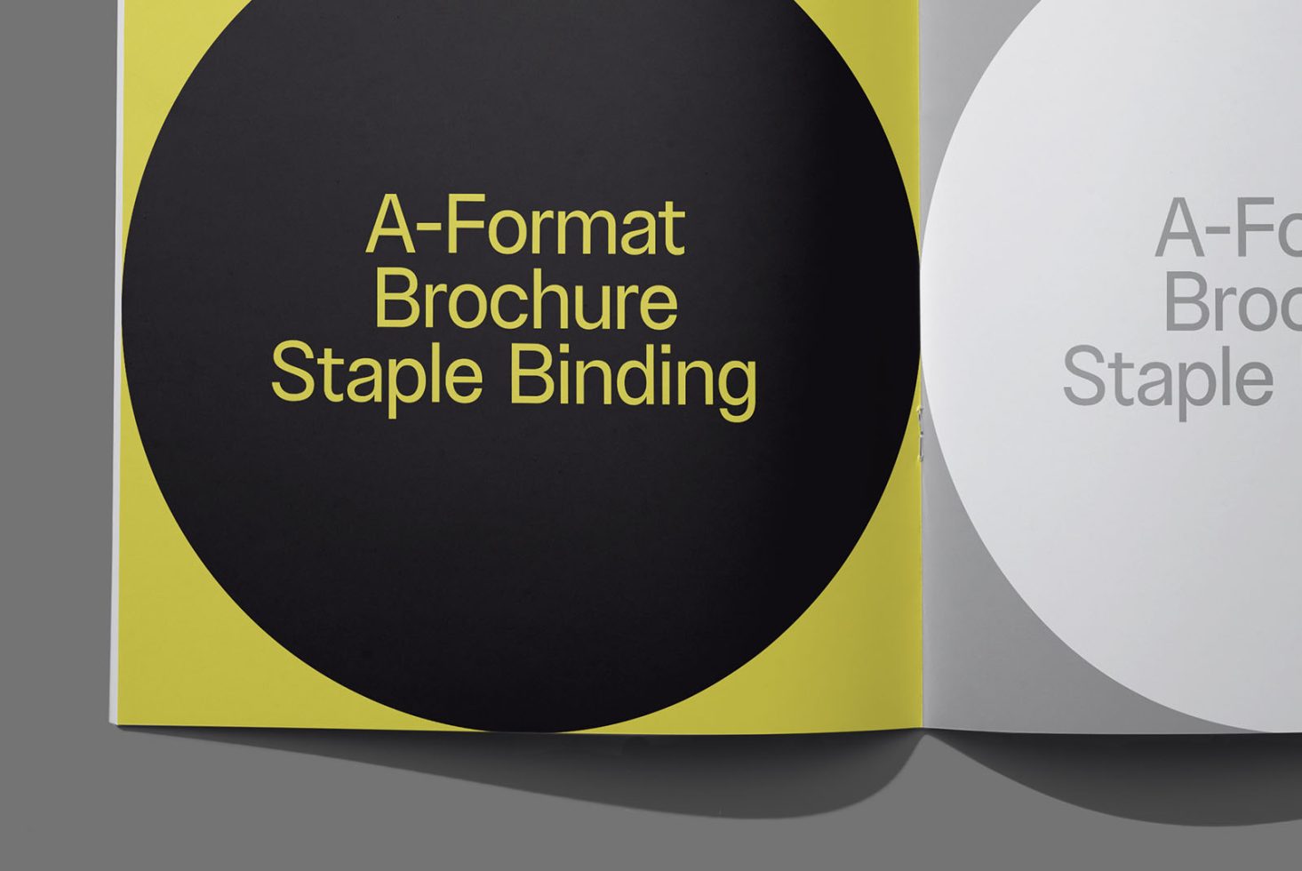 Book BK Classics 204 Mockup preview 2