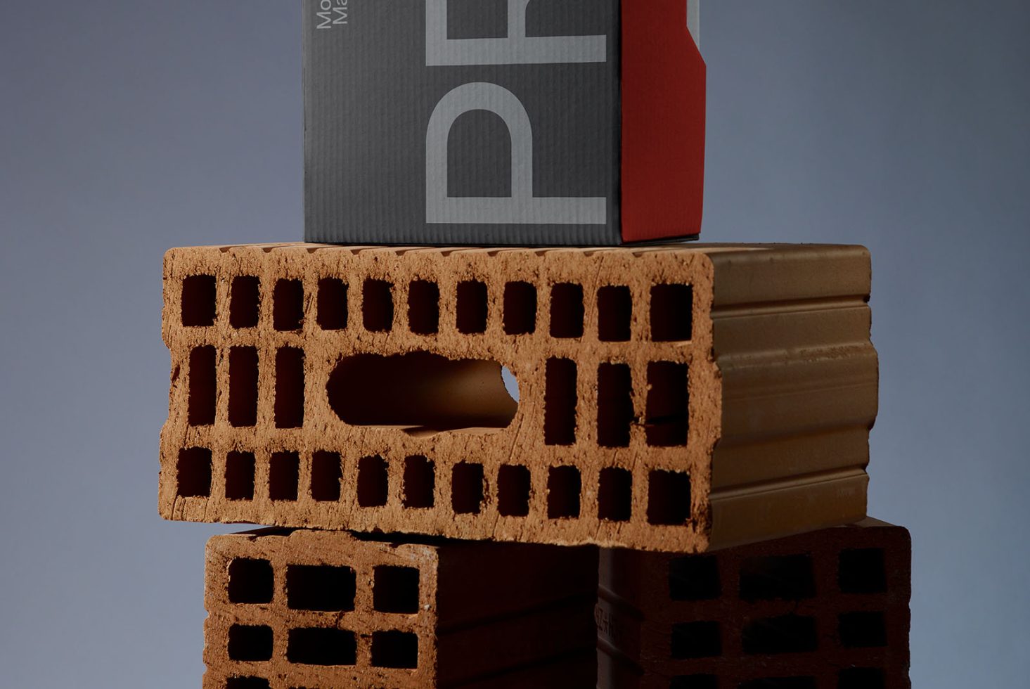 Packaging PG PRO103 Mockup preview 2
