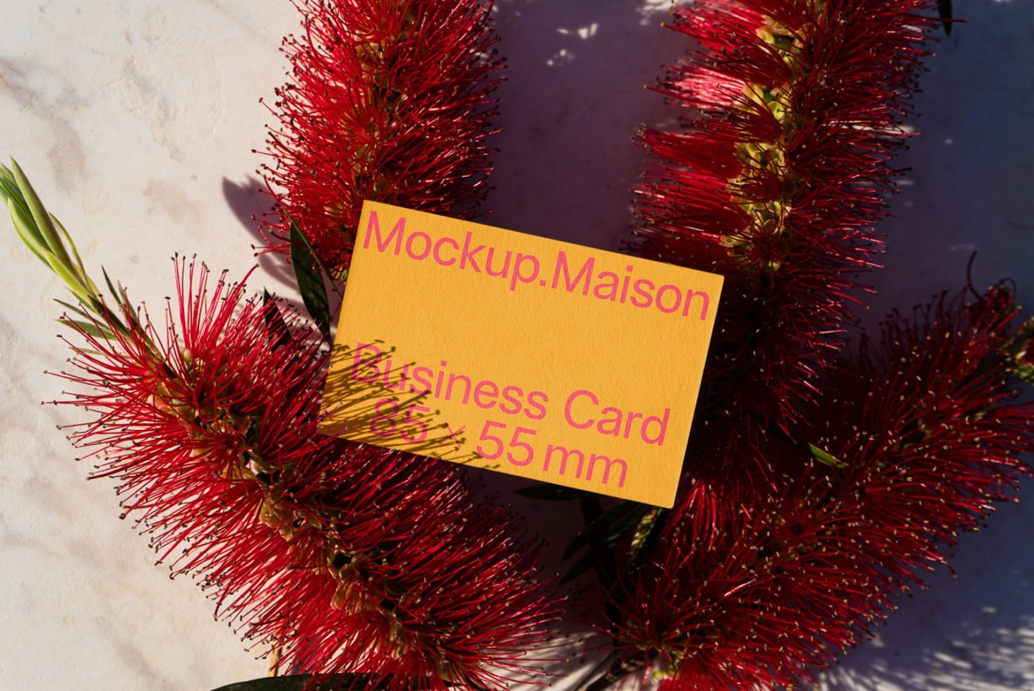 Business Card BC C 01 preview 1