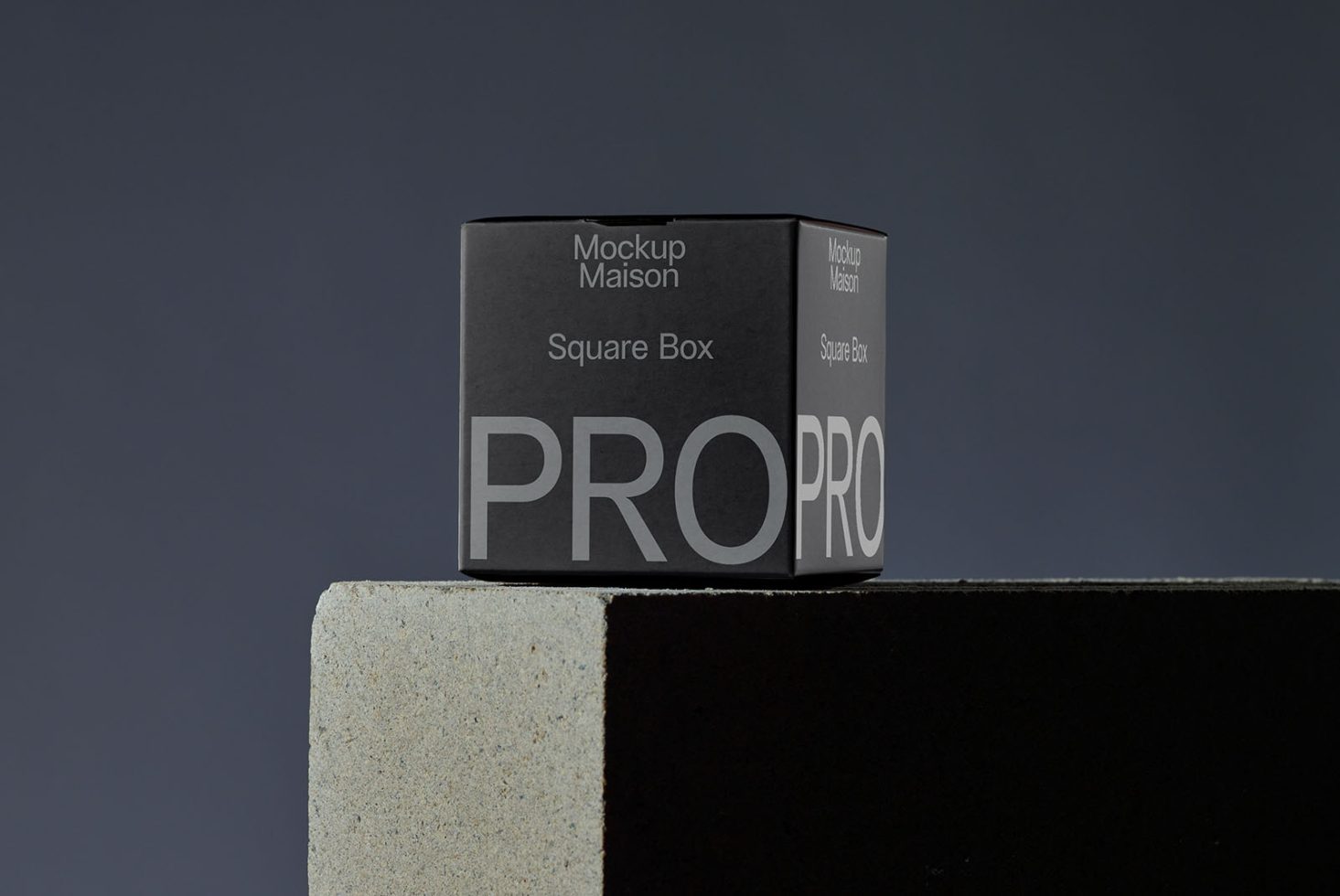 Packaging PG PRO101 Mockup preview 1