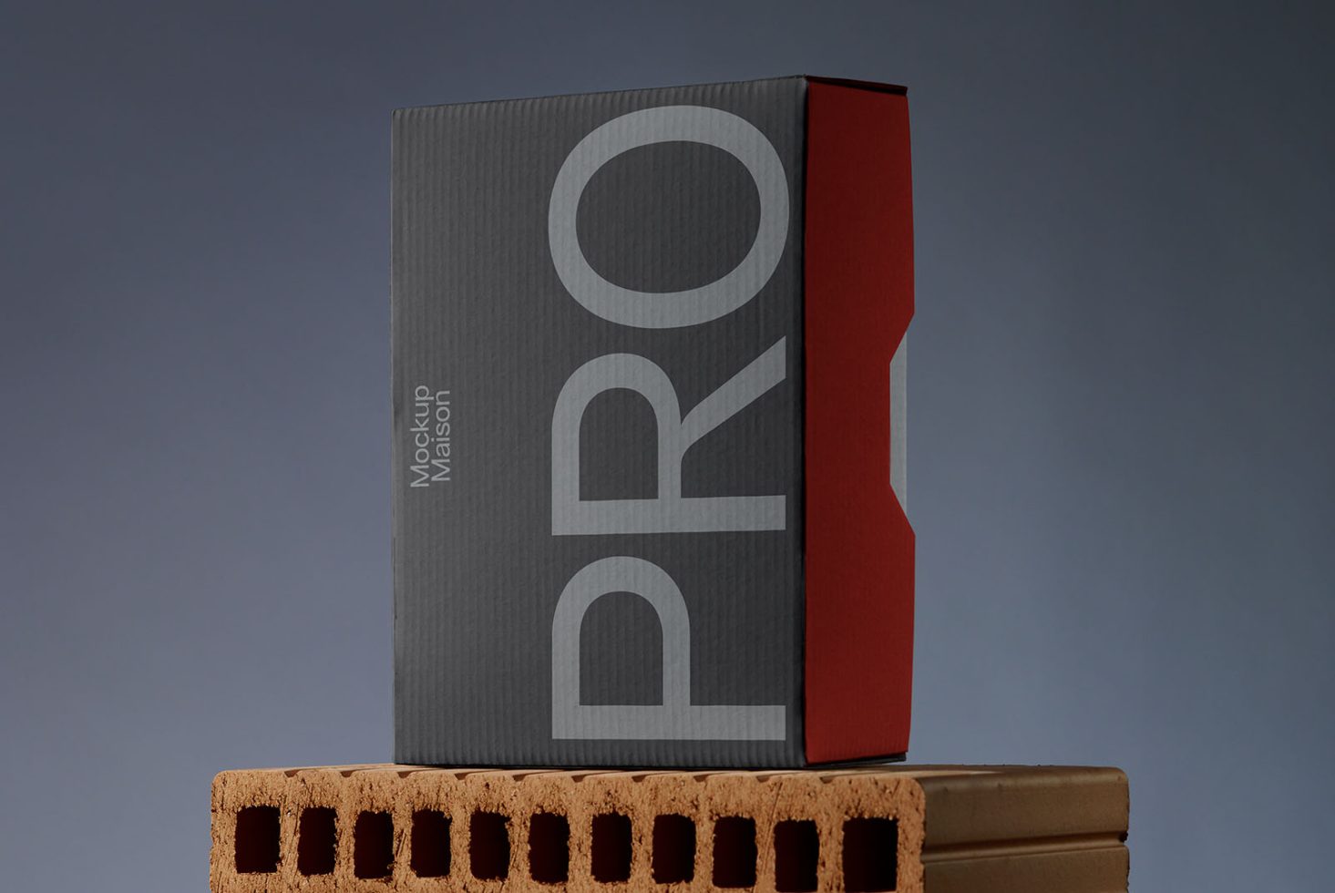 Packaging PG PRO103 Mockup preview 1
