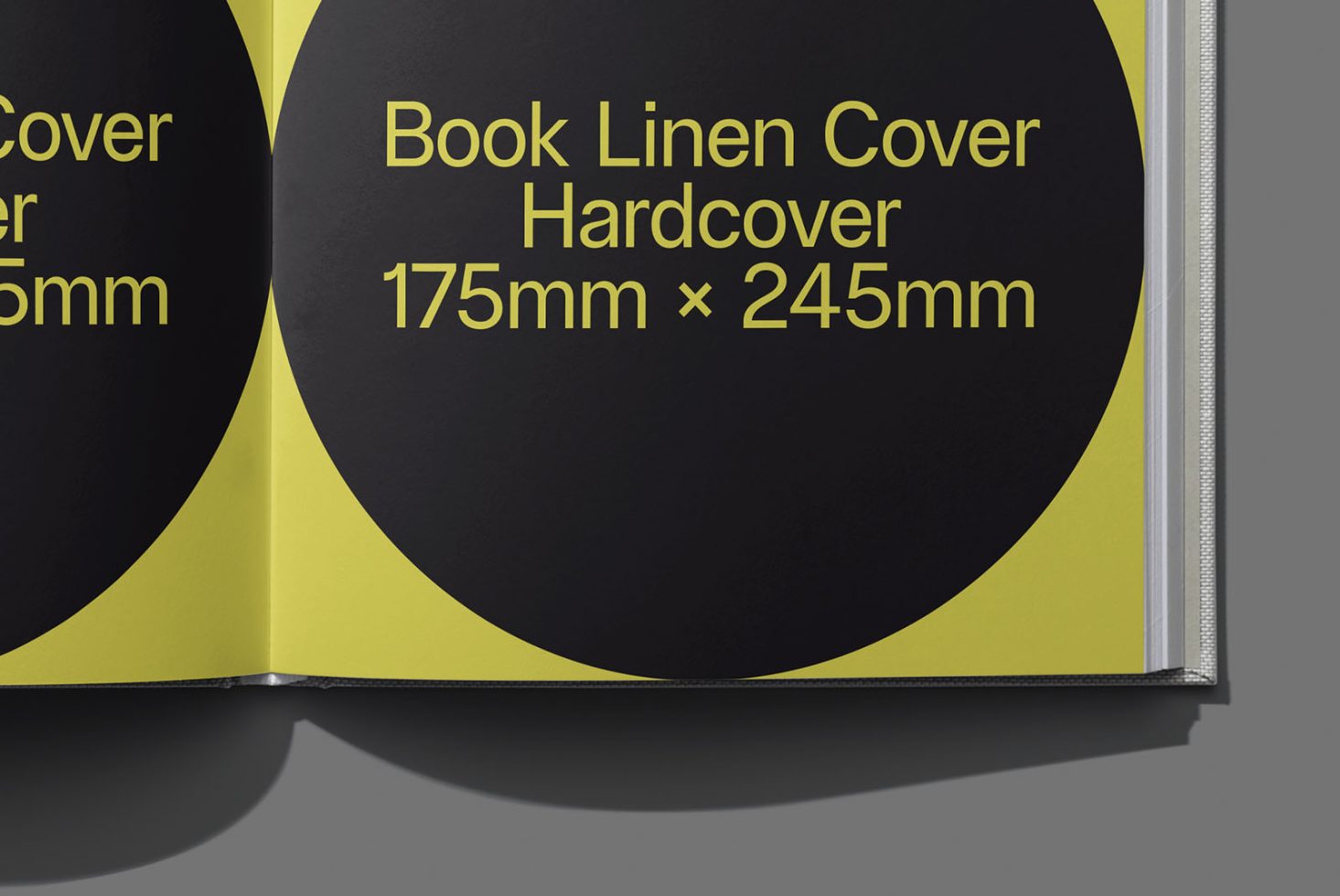 Book BK Classics 209 Mockup preview 2