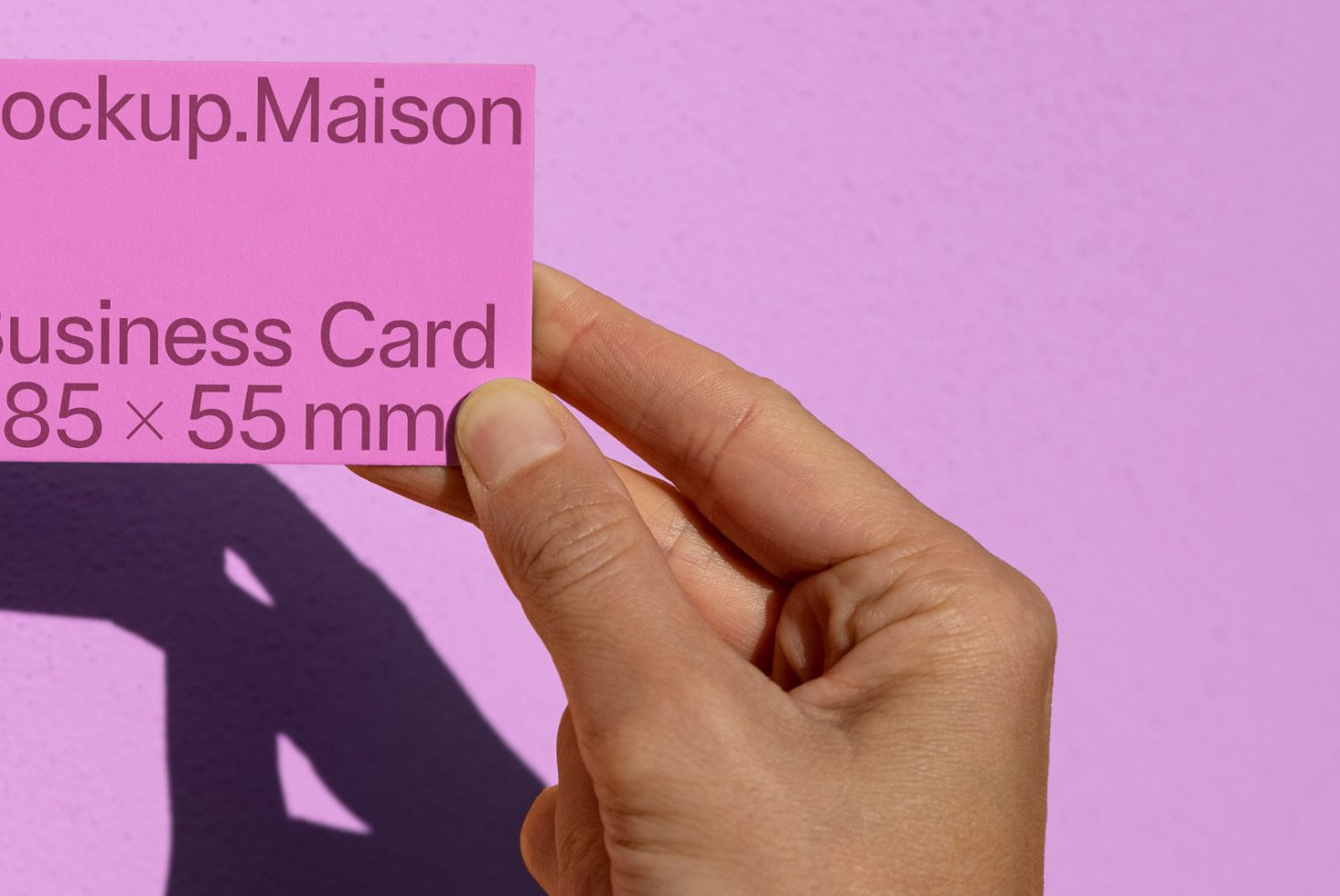 Business Card D02 Mockup preview 2