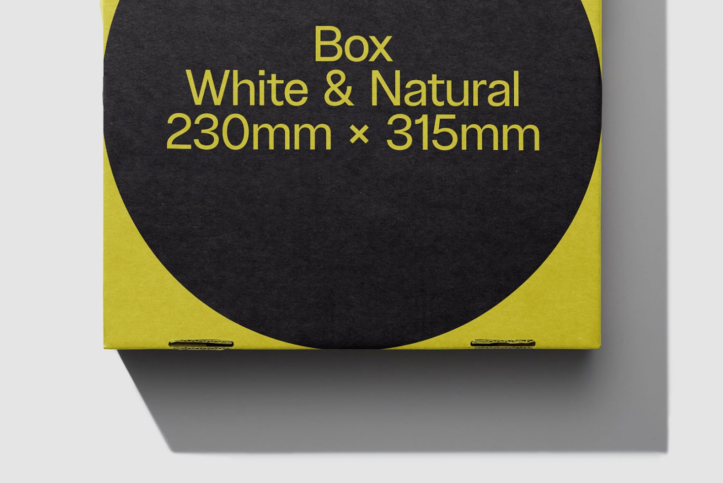 Box Classics 101 Mockup preview 2