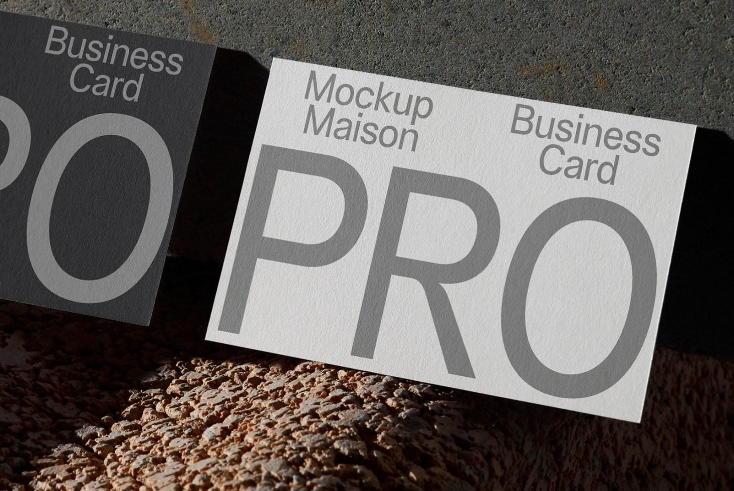 Business Card BC PRO101 Mockup preview 2