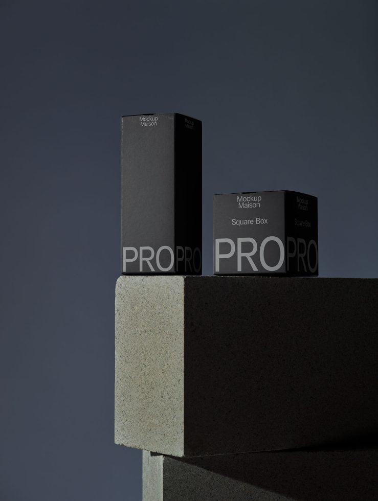 Packaging PG PRO106 Mockup