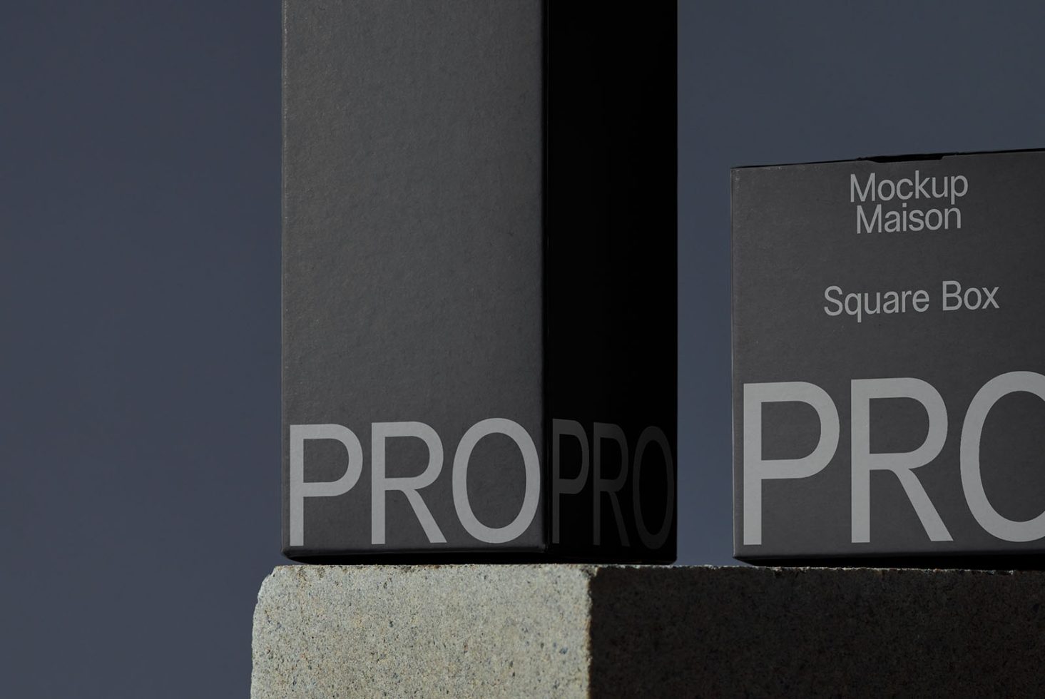 Packaging PG PRO106 Mockup preview 2