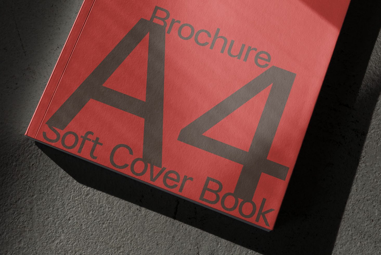 Book BK F02 Mockup preview 2