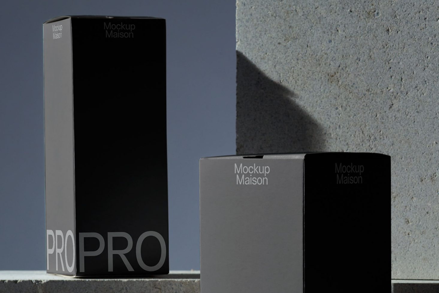 Packaging PG PRO107 Mockup preview 2