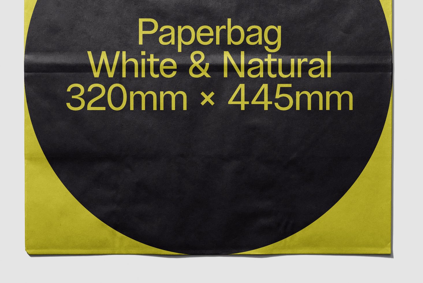 Paper Bag Classics 107 Mockup preview 2