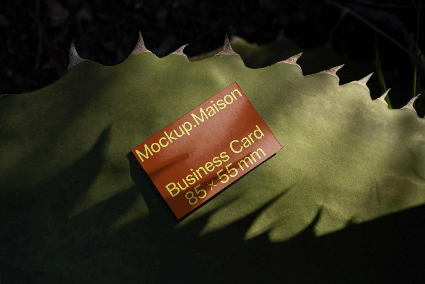 Business Card BC C 02 preview 2