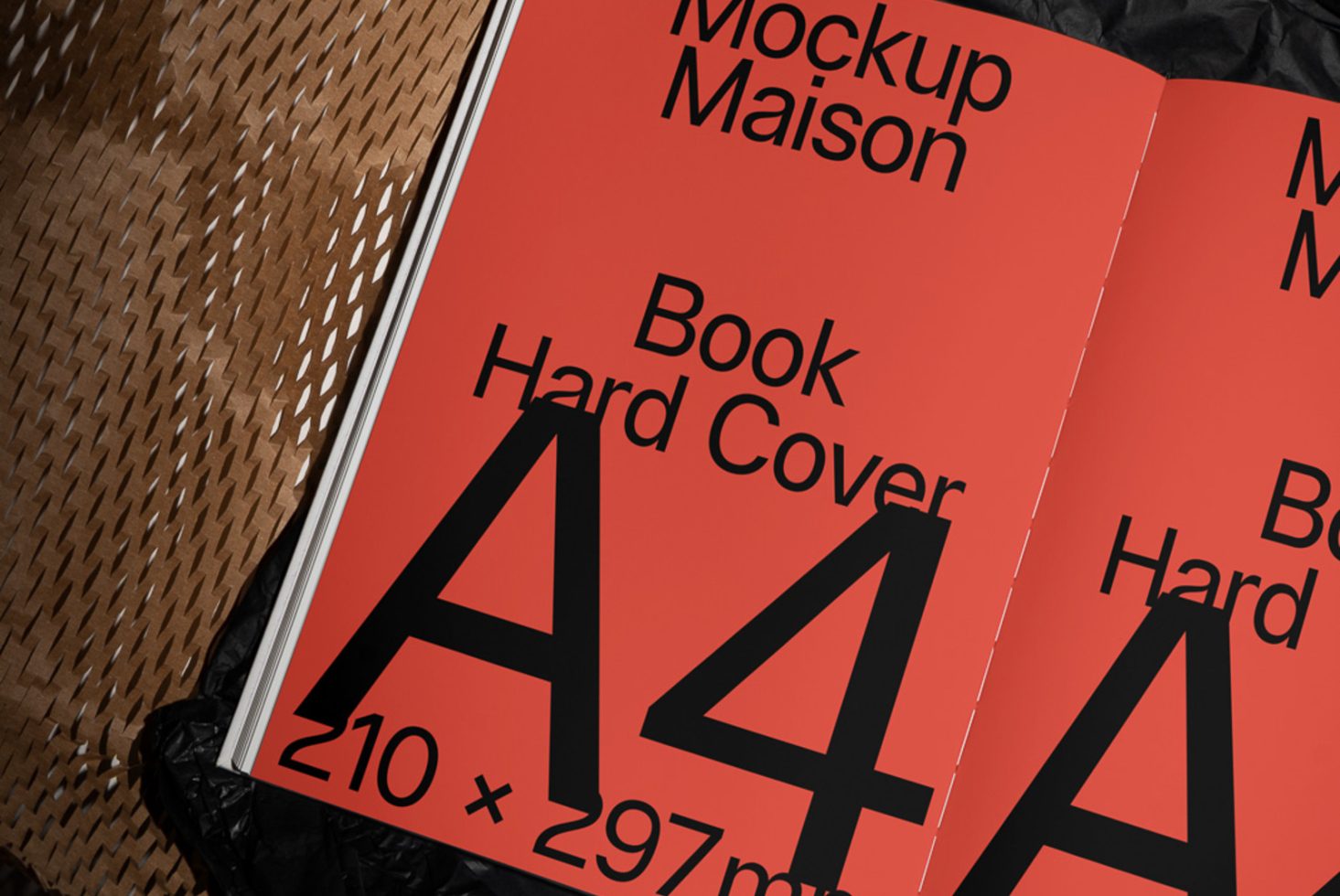Book BK I 02 preview 1