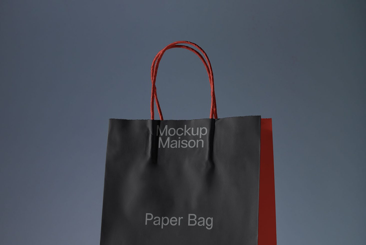 Paper Bag BG PRO101 Mockup preview 2