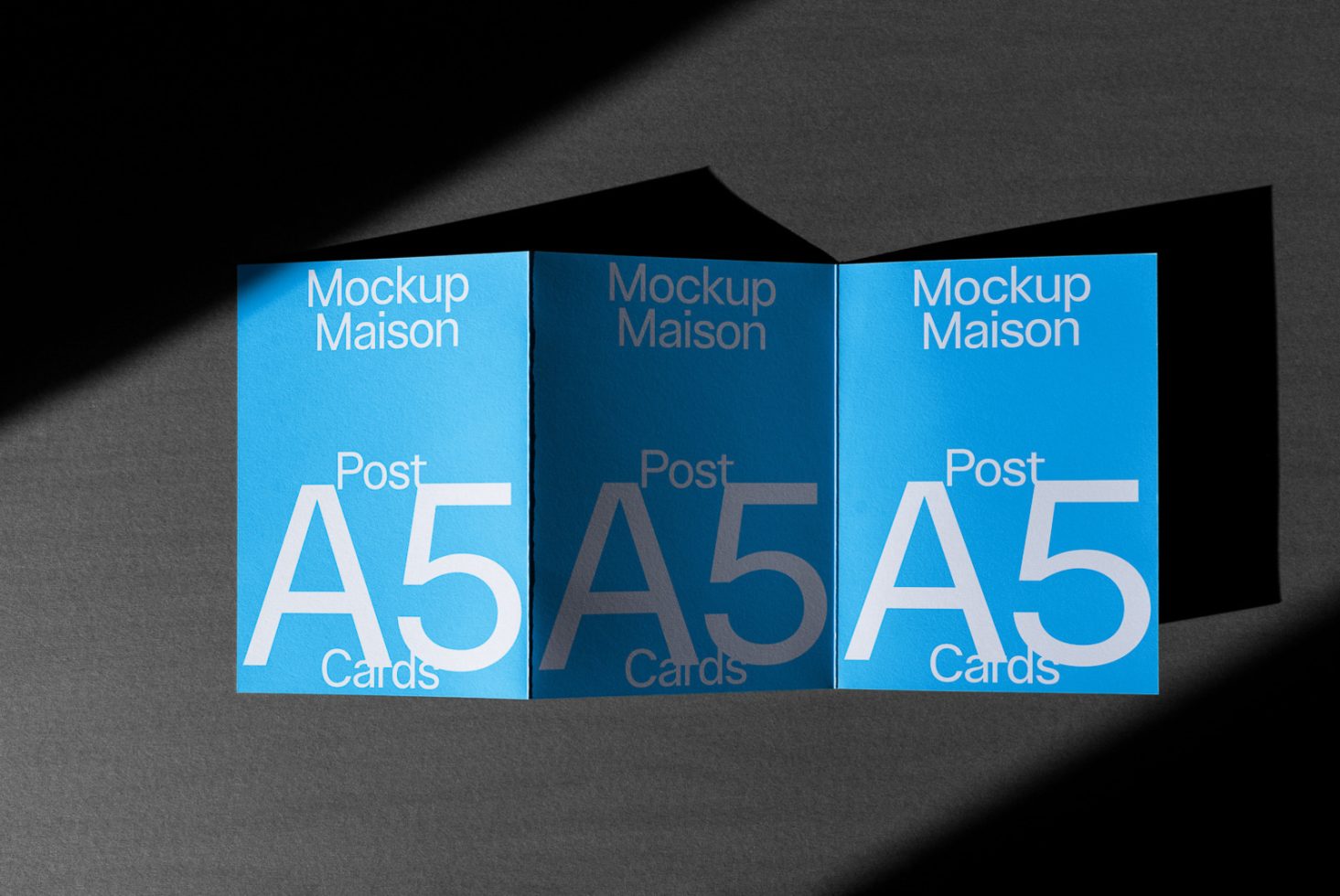 Folding Card CD H 04 preview 2