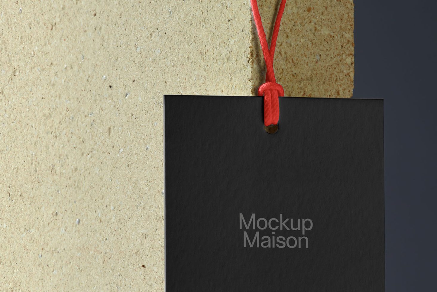 Tag HT PRO101 Mockup preview 2