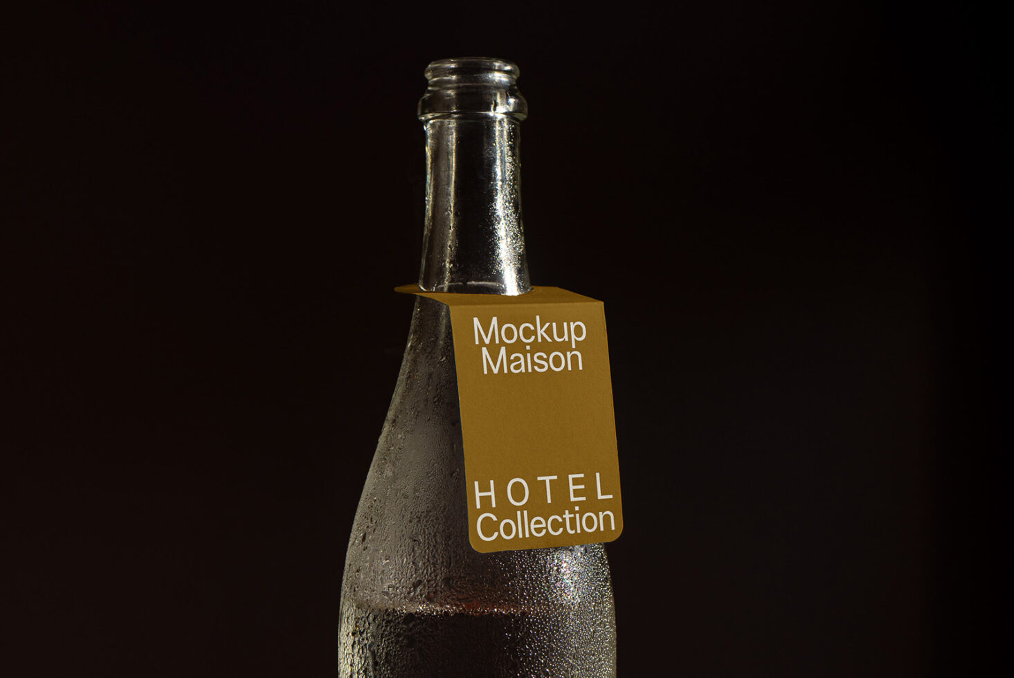 Bottle Mockup BV HTL 02 preview 1