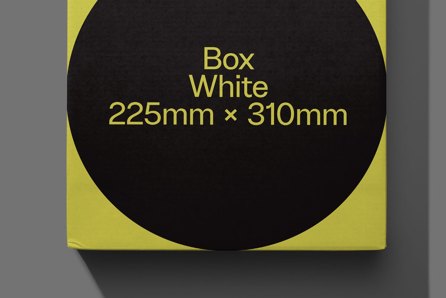 Packaging PG Classics 202 Mockup preview 2