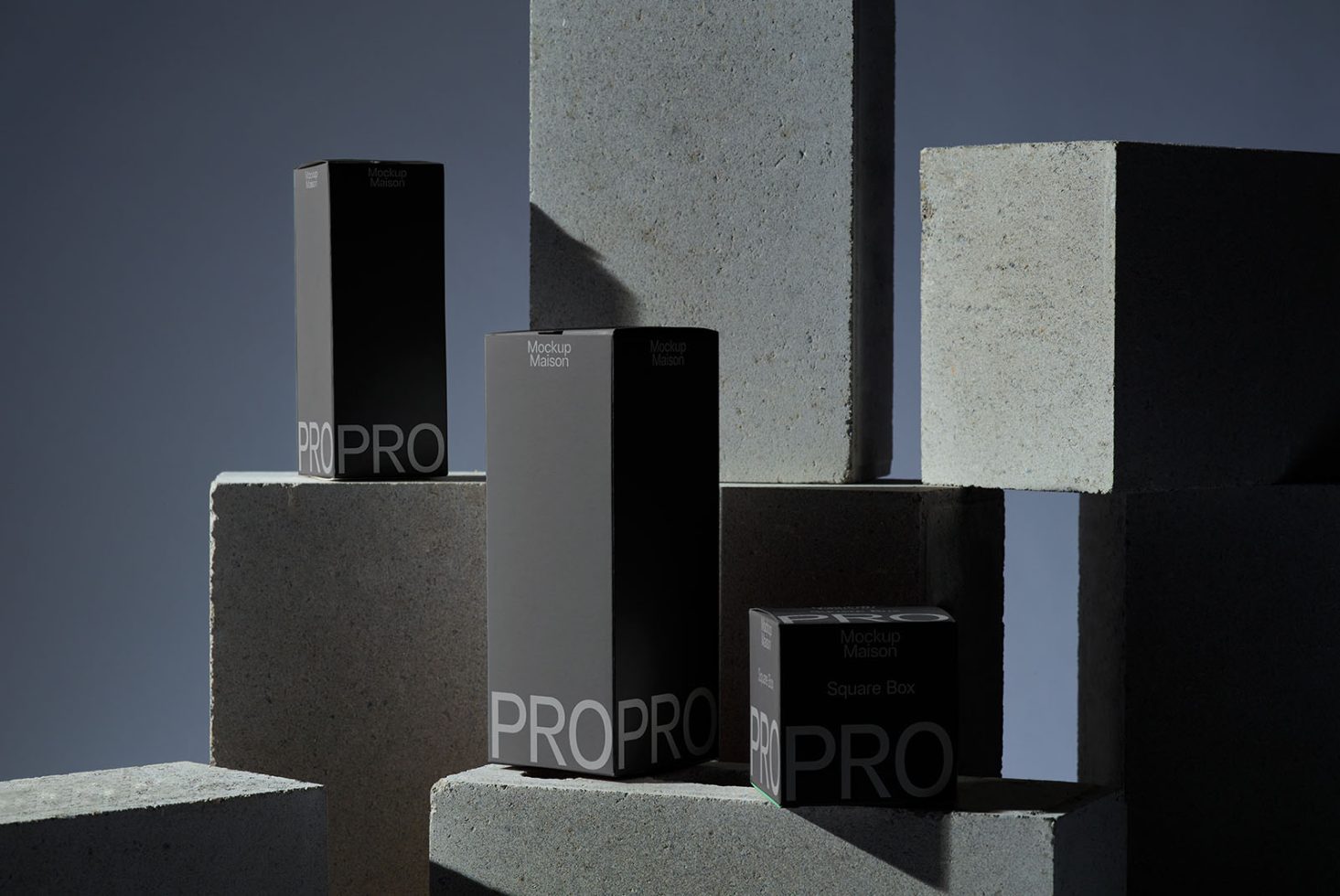 Packaging PG PRO107 Mockup preview 1