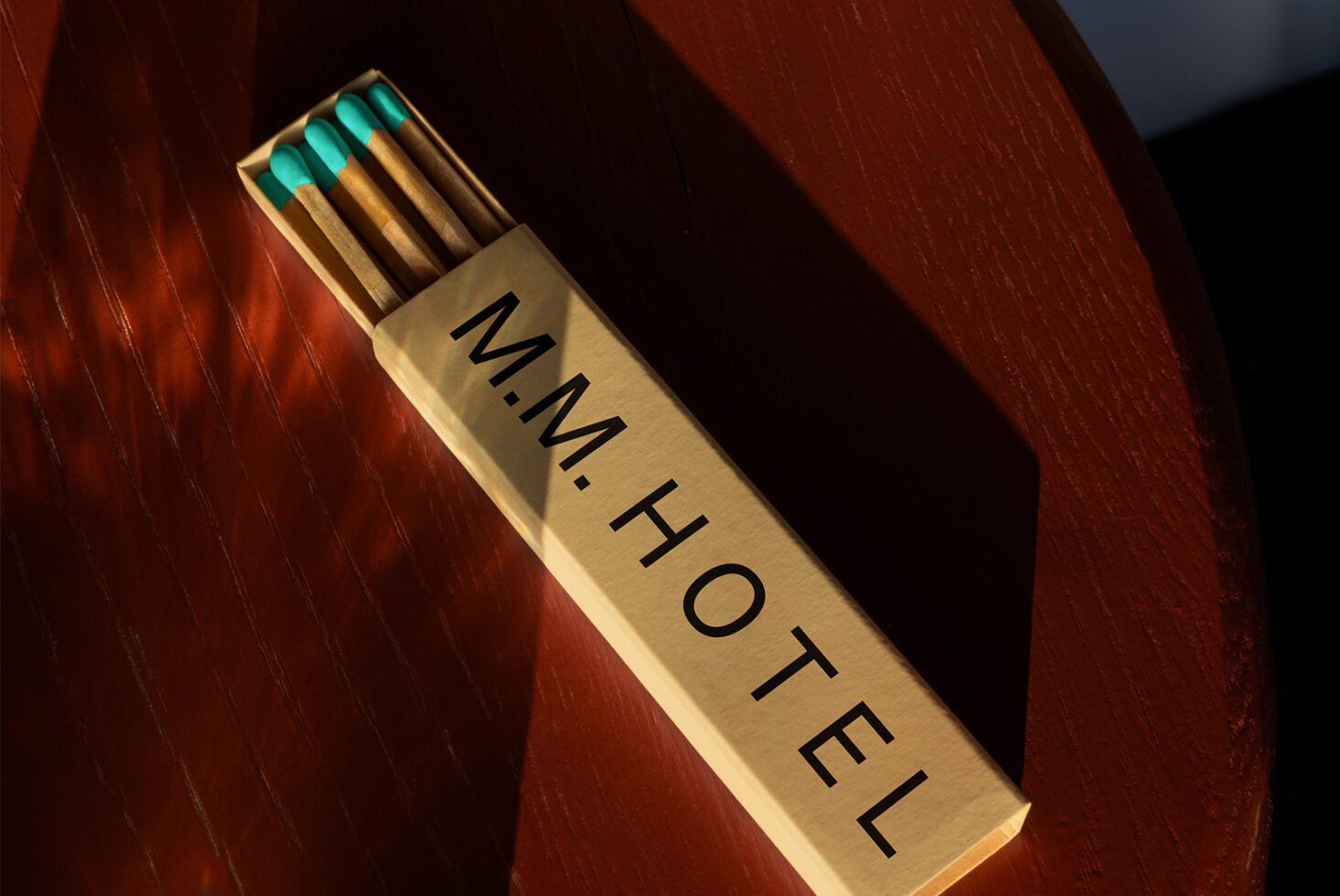 Matches Mockup LM HTL01 preview 2