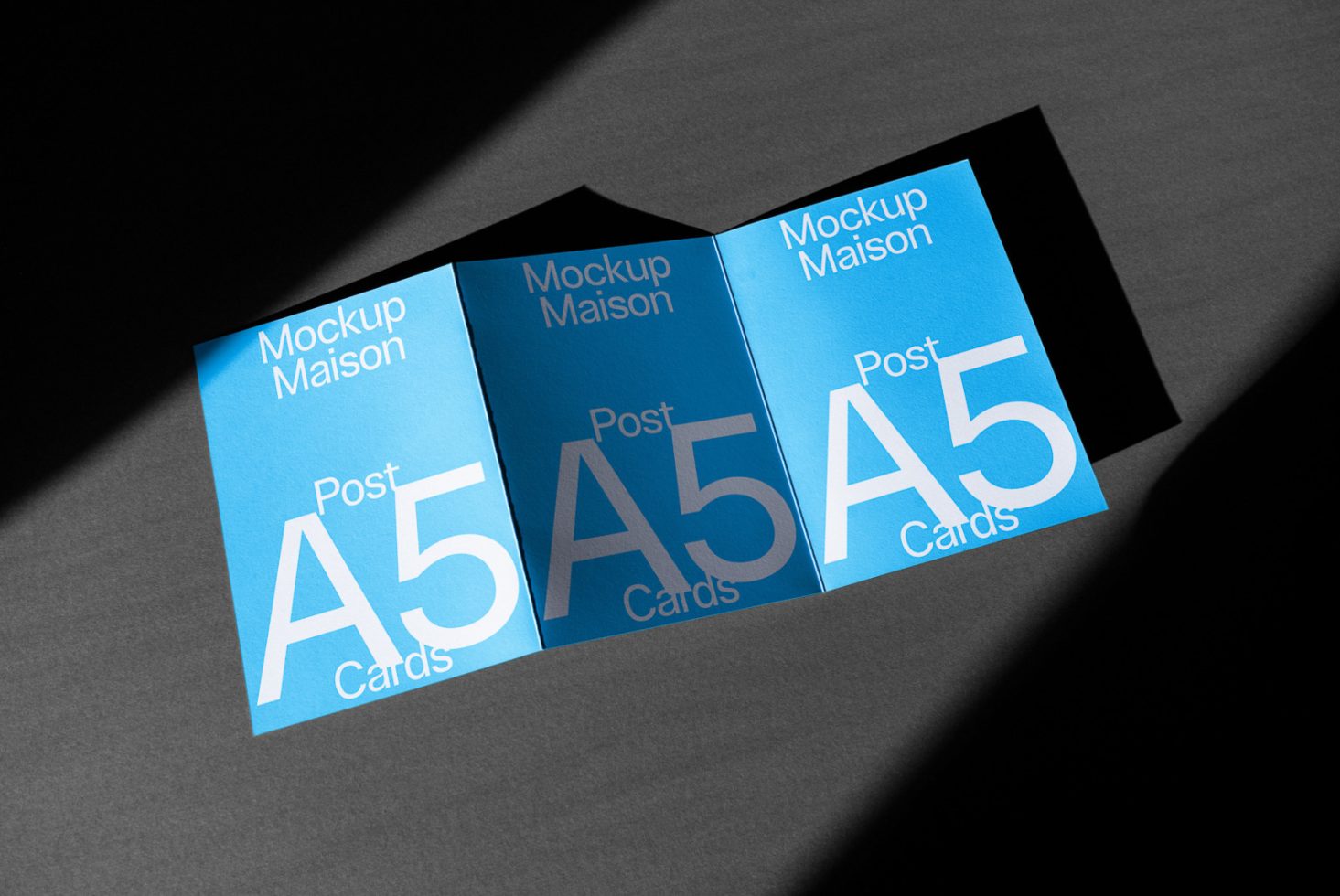 Folding Card CD H 03 preview 2
