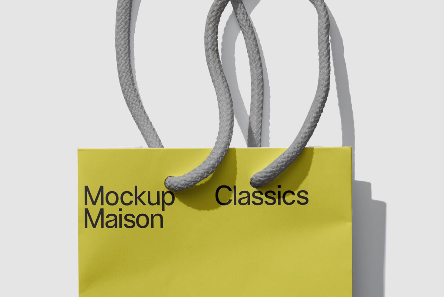 Paper Bag Classics 103 Mockup preview 2