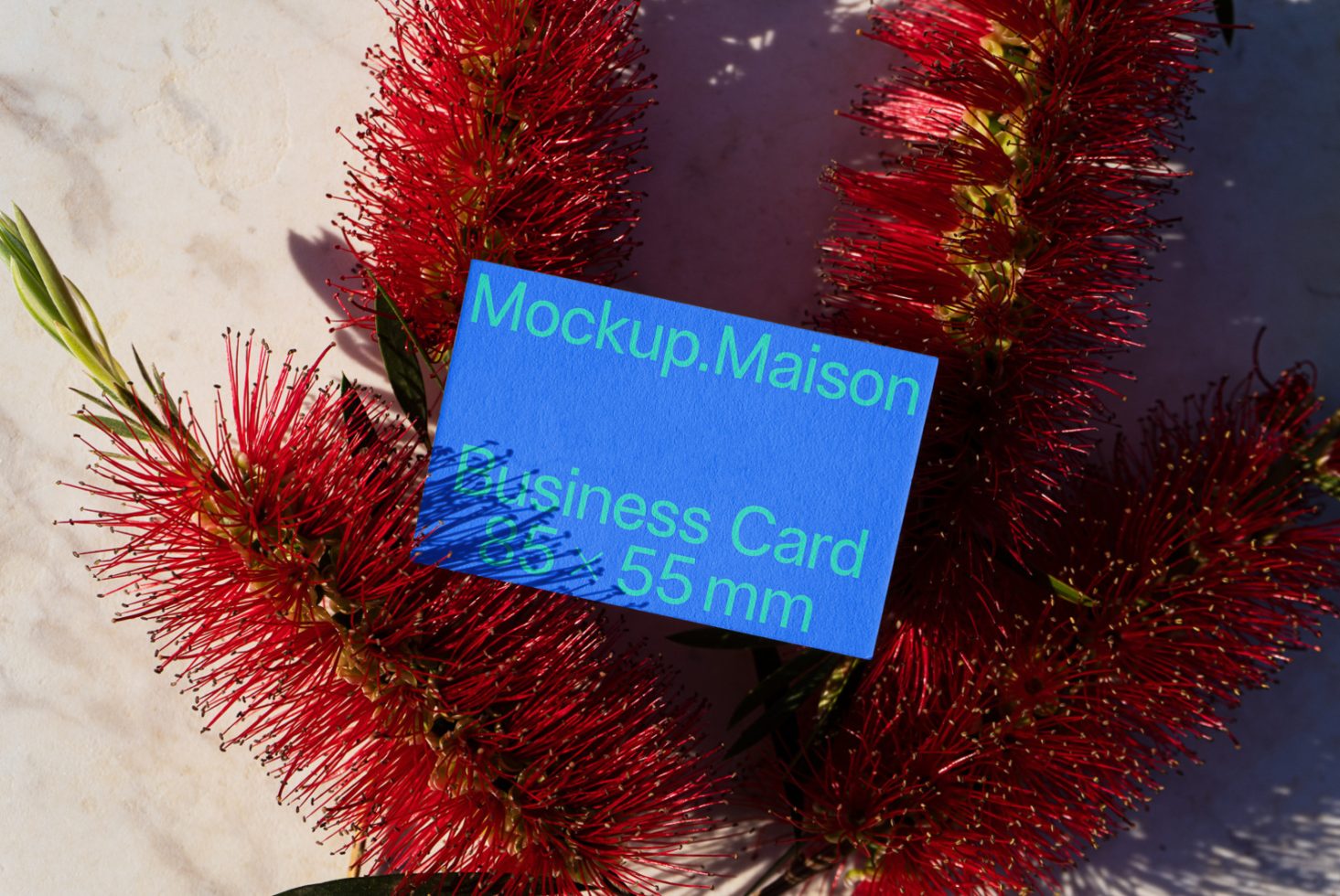 Business Card BC C 01 preview 2