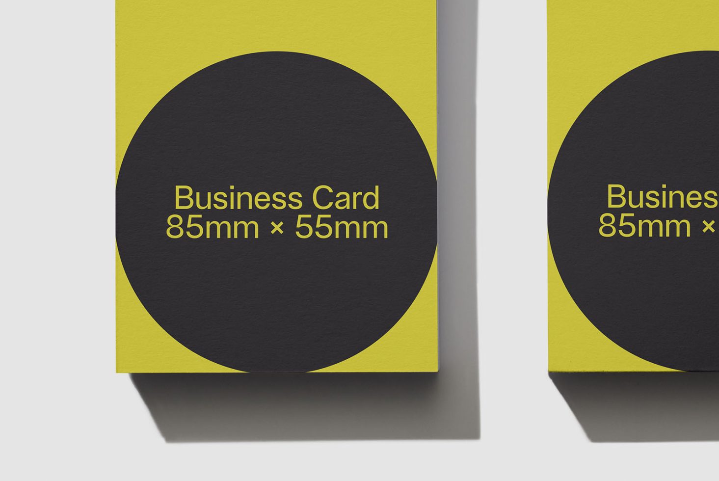 Business Card Classics 103 Mockup preview 2