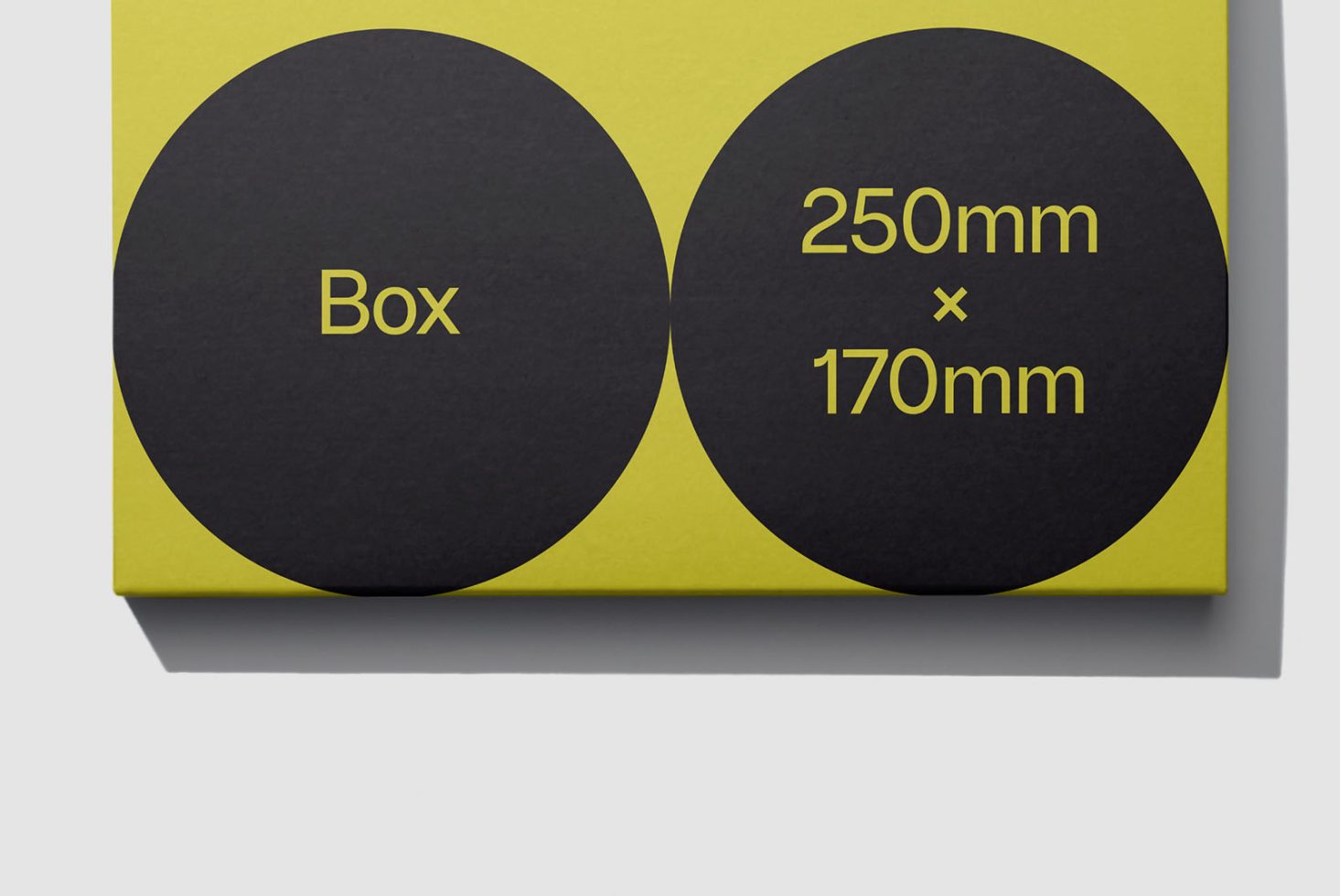 Box Classics 105 Mockup preview 2