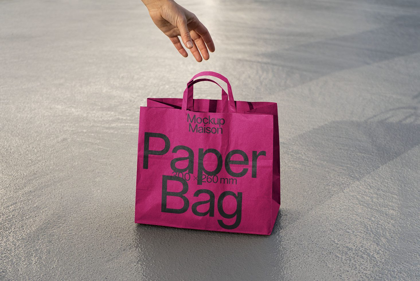 Paper Bag BG F04 Mockup preview 1