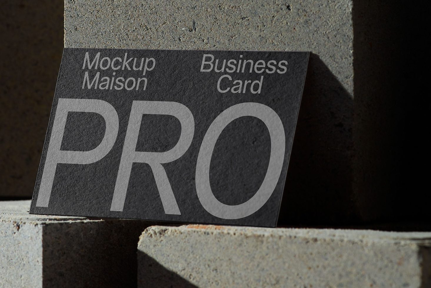Business Card BC PRO102 Mockup preview 2