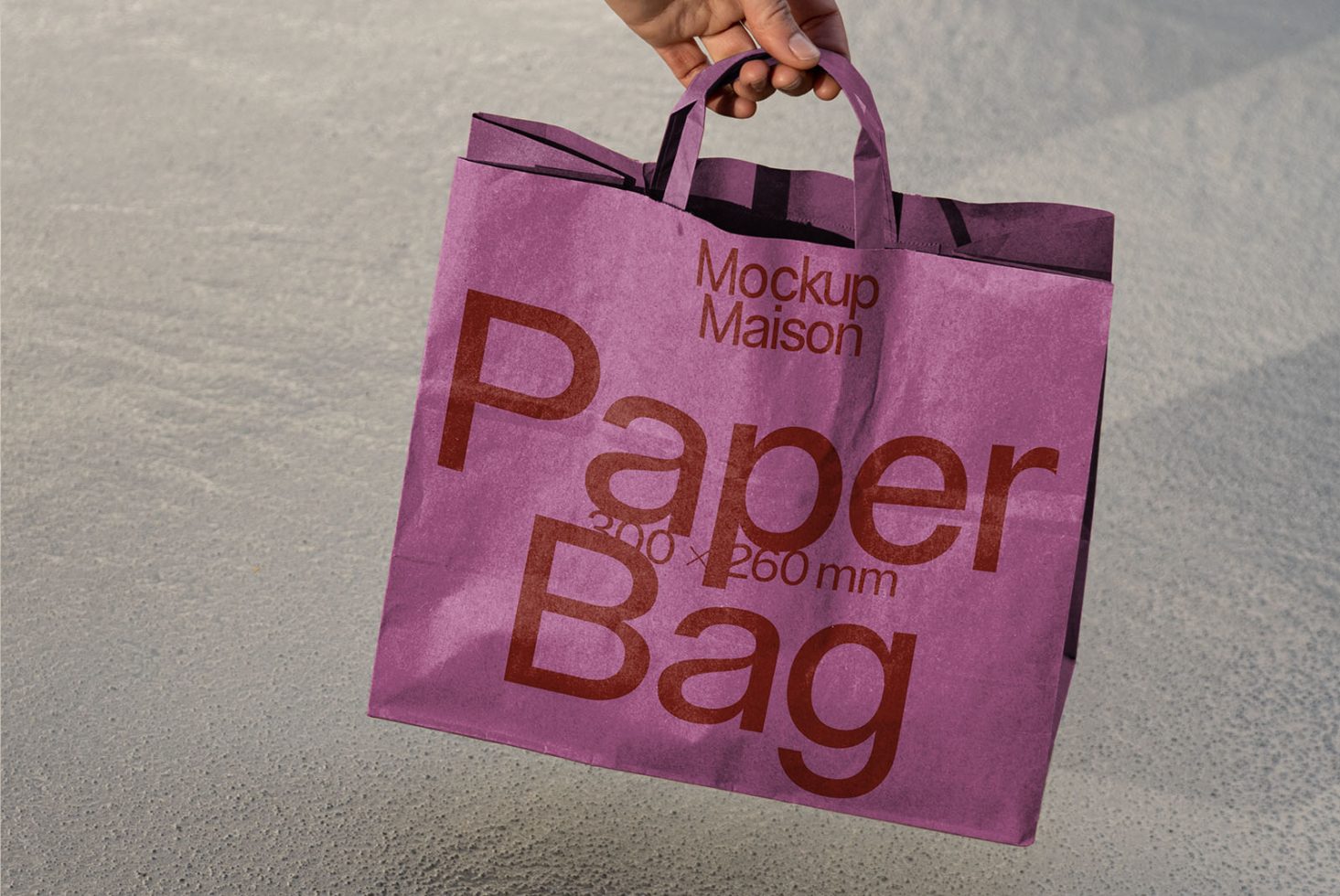 Paper Bag BG F05 Mockup preview 1