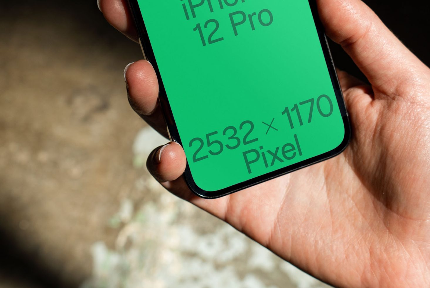 iPhone 12 Pro C01 Mockup preview 2