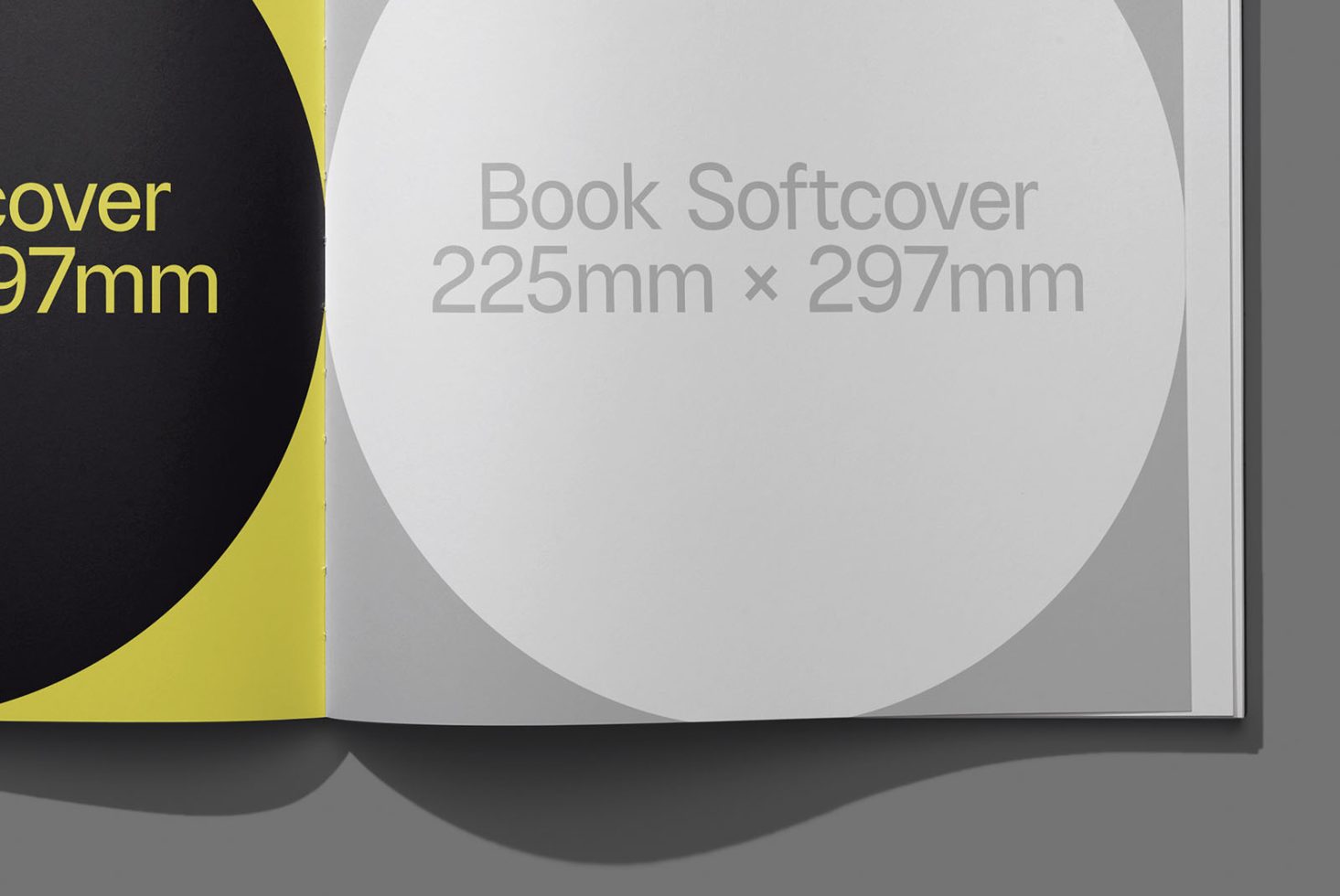 Book BK Classics 202 Mockup preview 2