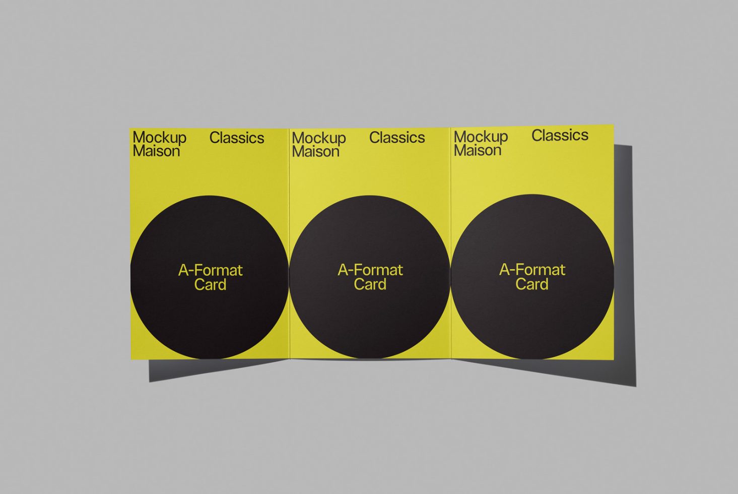 Folding Card CD CL3 01 preview 1