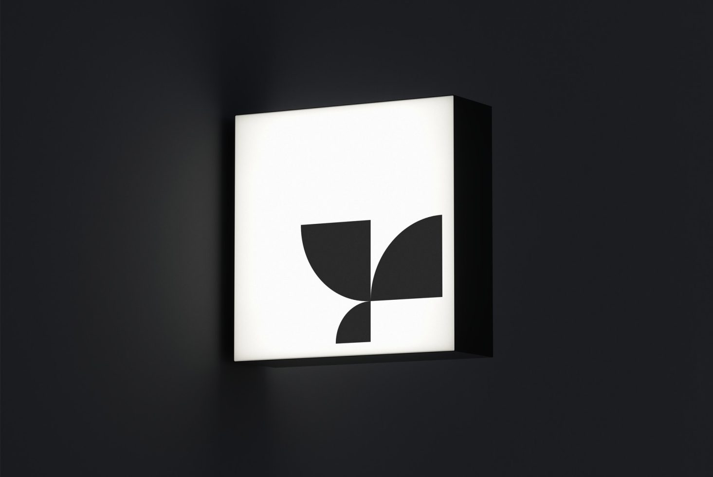 Lightbox 04 Standard Mockup preview 4