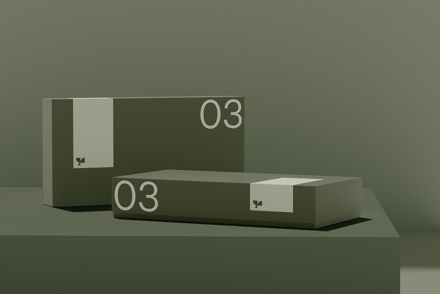 Box 03 Standard Mockup preview 4