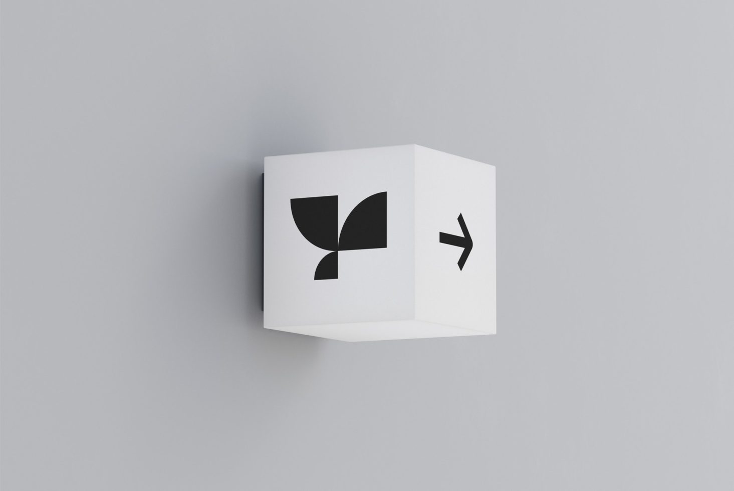 Lightbox 05 Standard Mockup preview 3