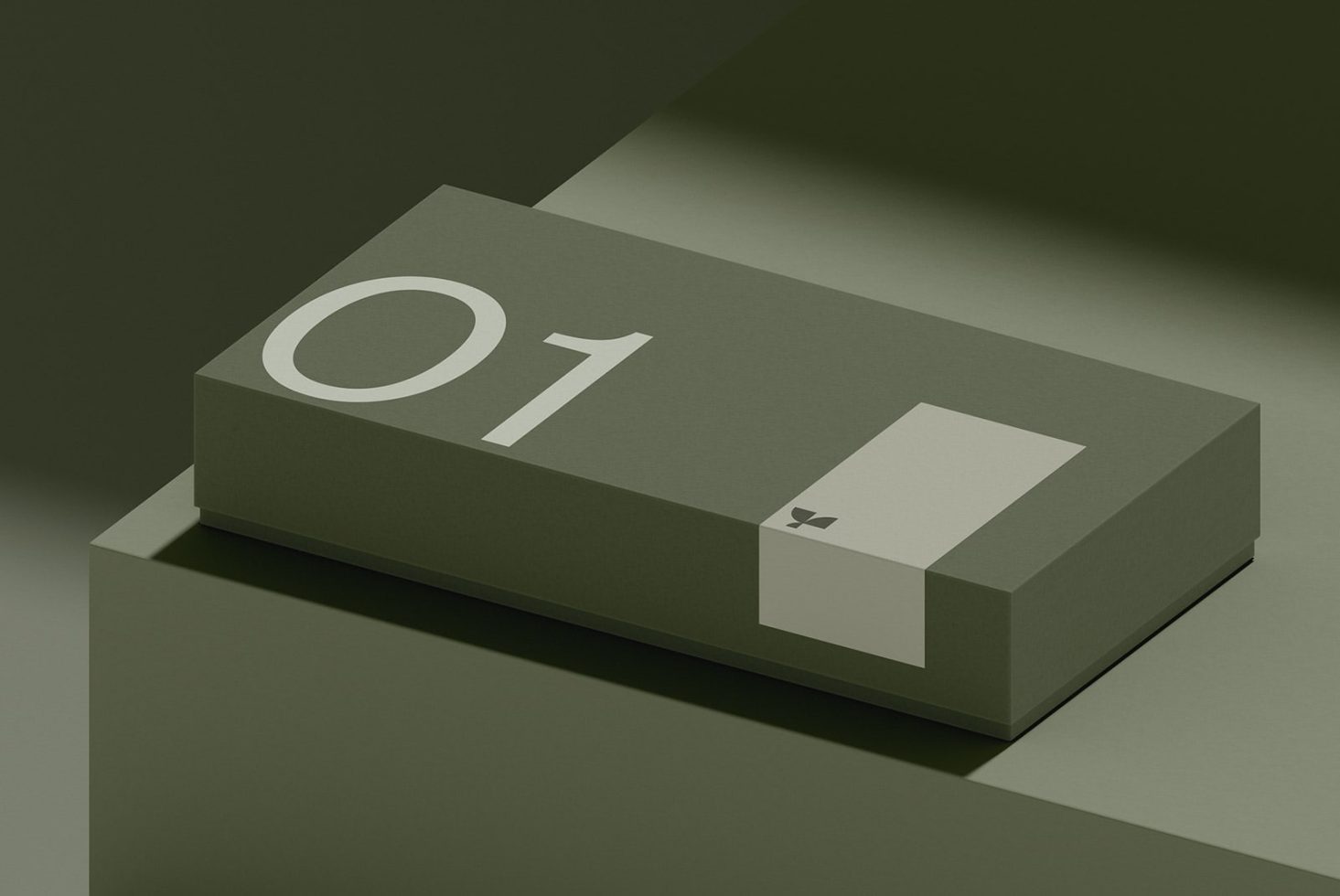 Box 01 Standard Mockup preview 4