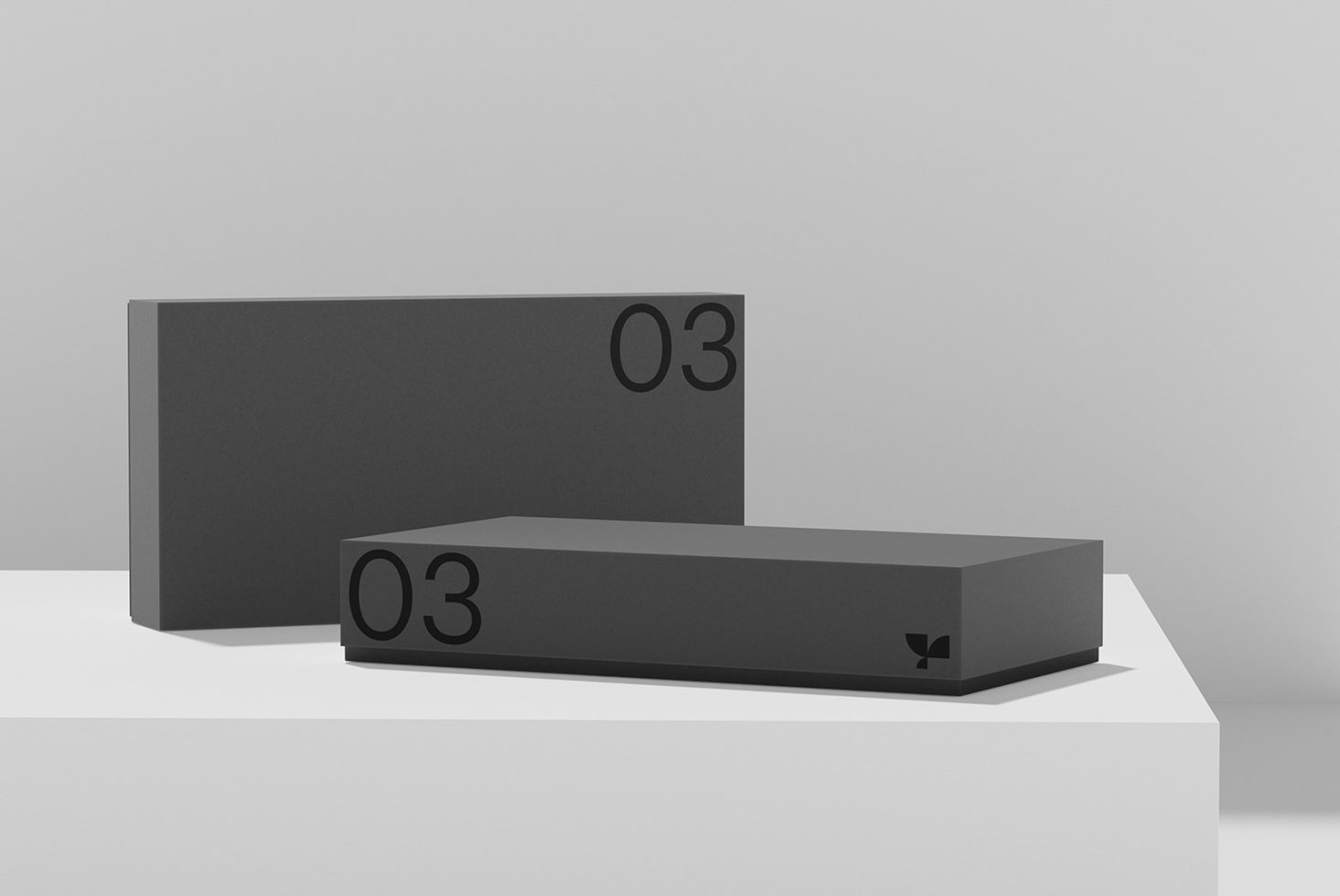 Box 03 Standard Mockup