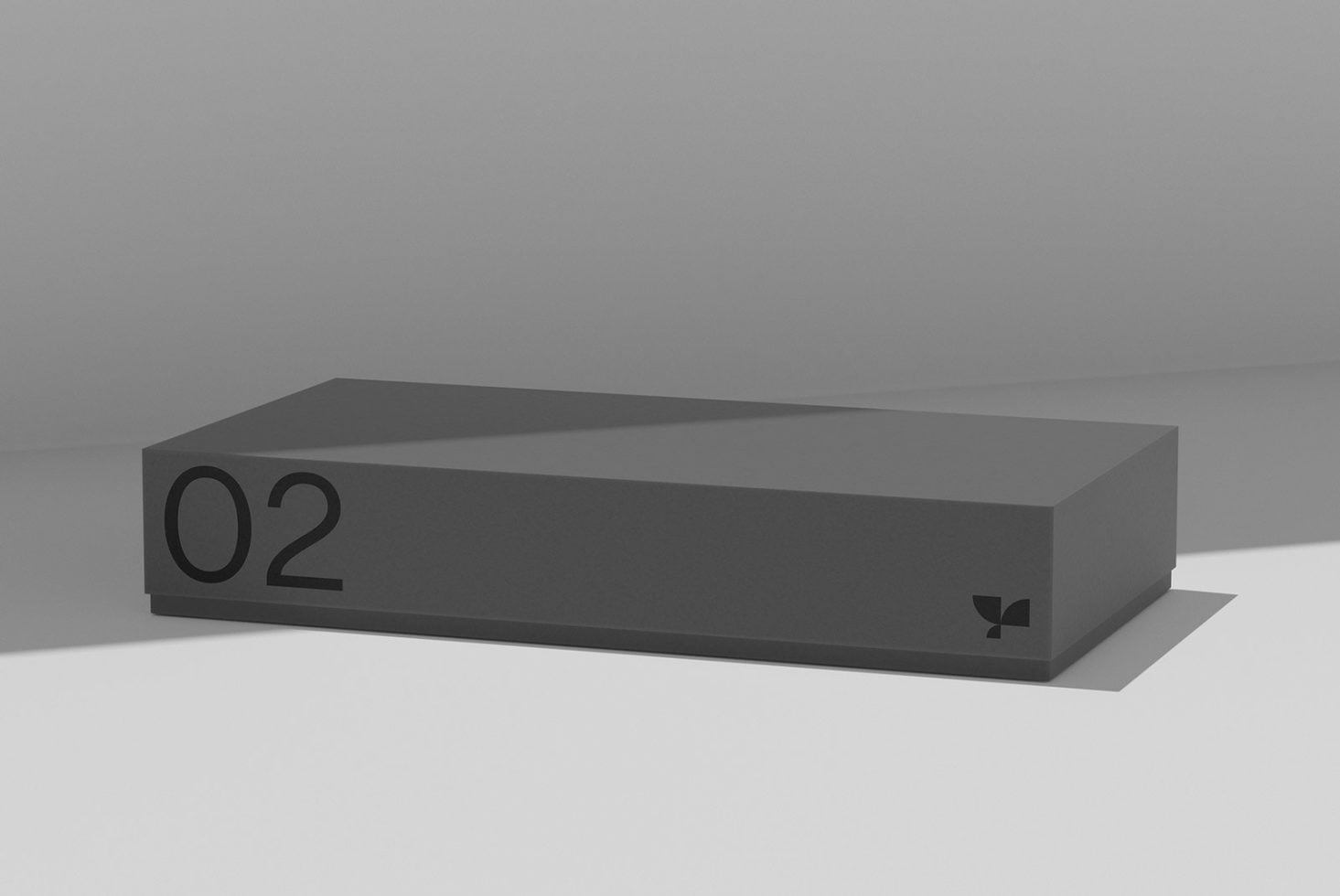 Box 02 Standard Mockup