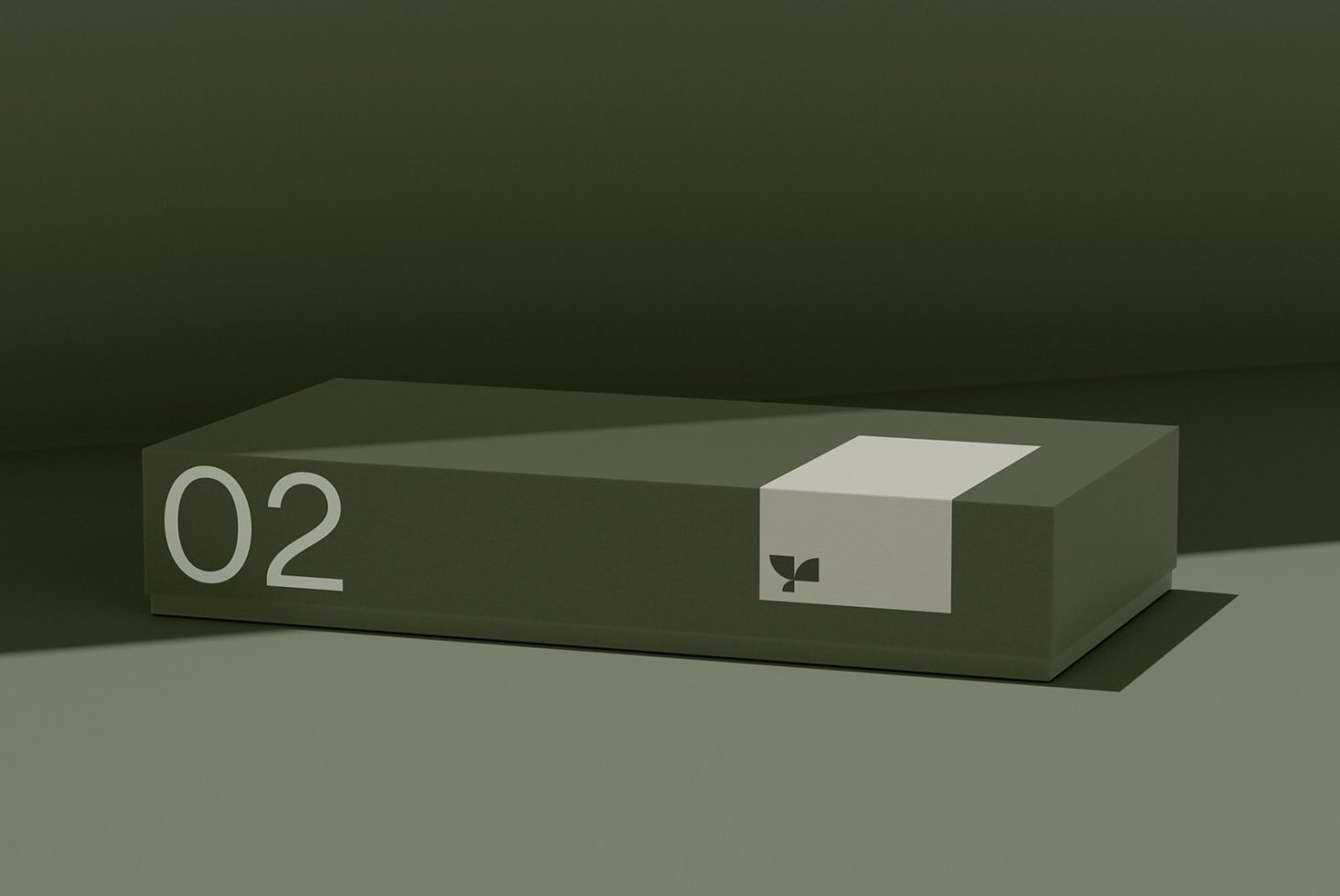 Box 02 Standard Mockup preview 4