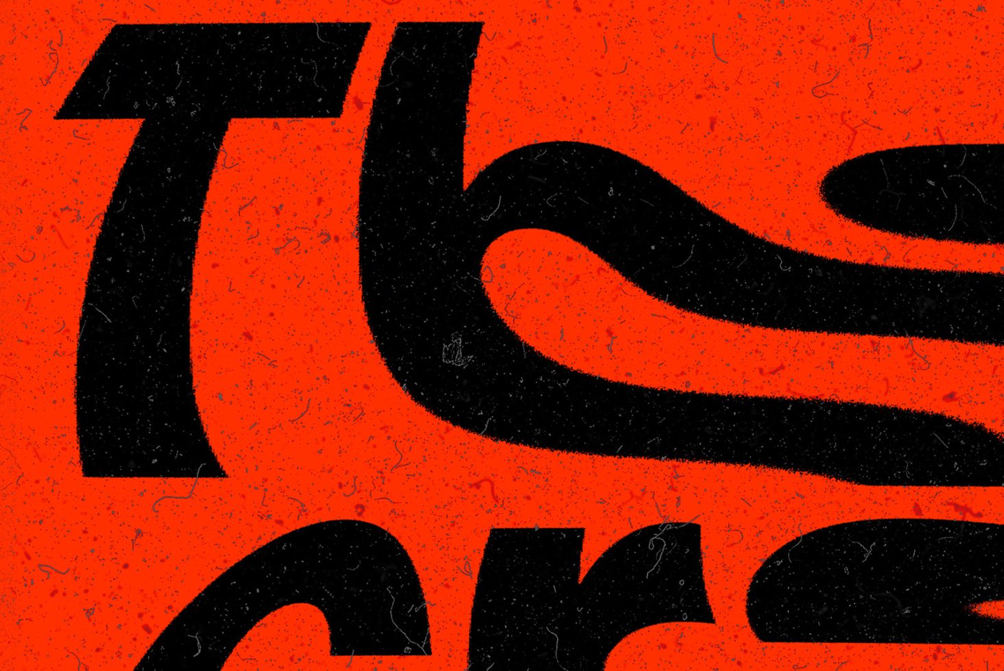 Transform Collection 03 – Amplify preview 6