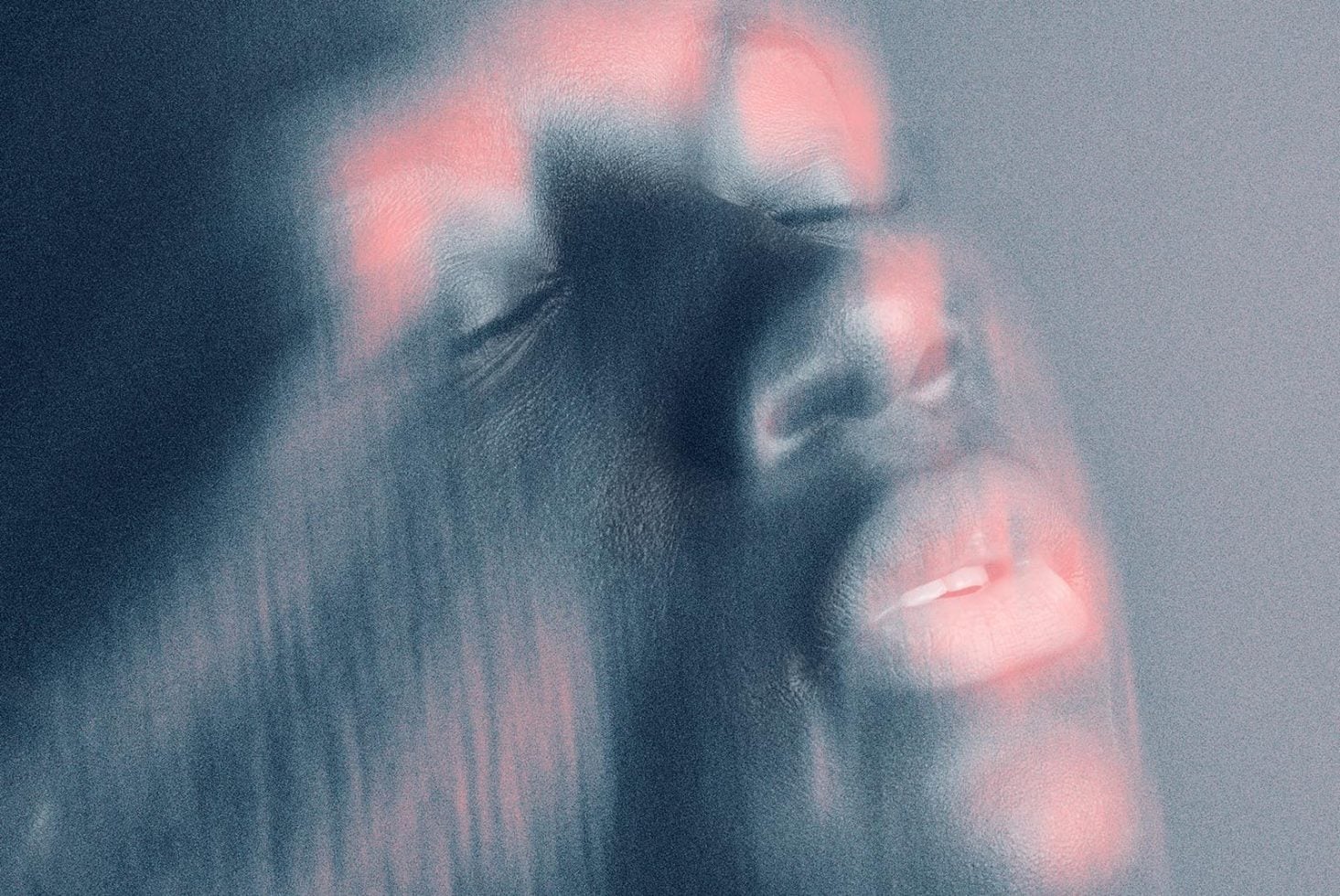Transform Collection 02 – Luminous
