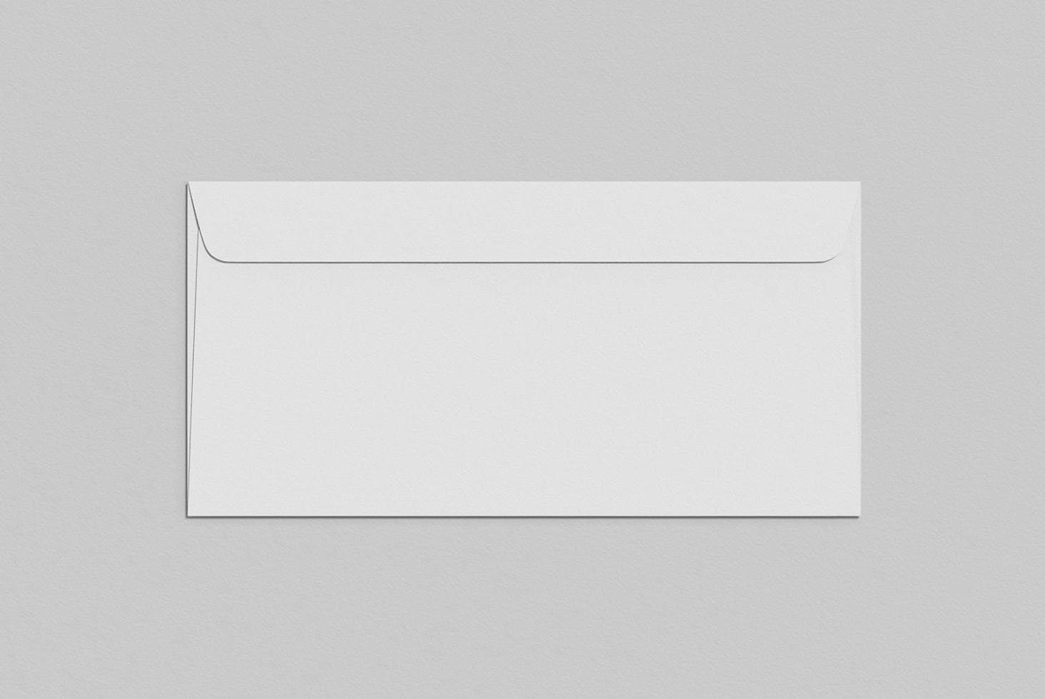 DL/E65 Envelope Standard Mockup