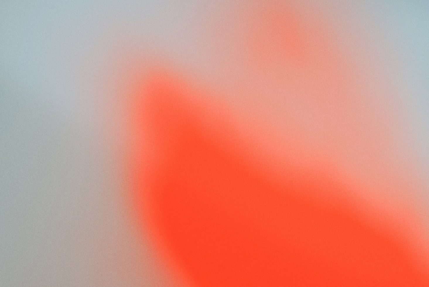 Undertone 01 Gradient Collection
