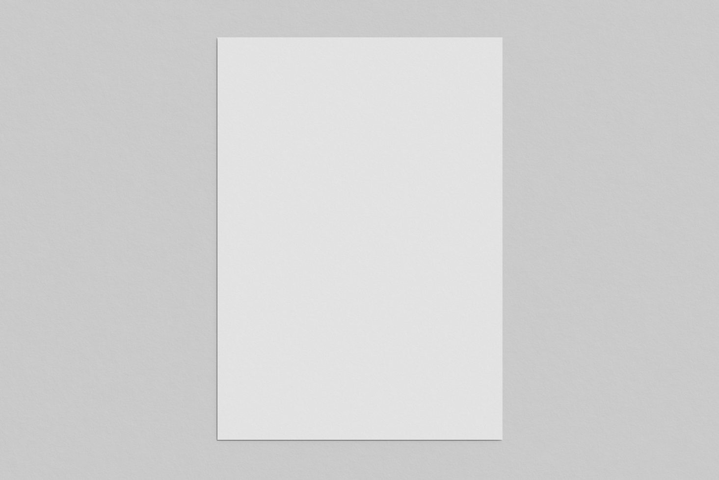 A4 Standard Mockup